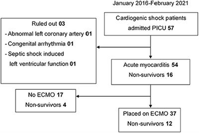 Pediatric Acute Myocarditis With Short-Term Outcomes and Factors for Extracorporeal Membrane Oxygenation: A Single-Center Retrospective Cohort Study in Vietnam